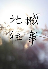 遇见厉姐最新视频直播